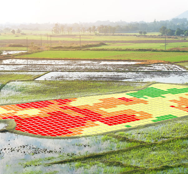 campi mappati per agricoltura di precisione