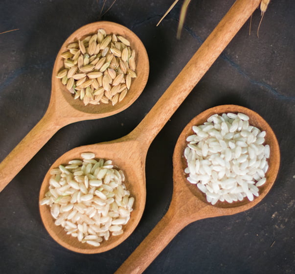 Perché coltiviamo riso classico integrale biologico
