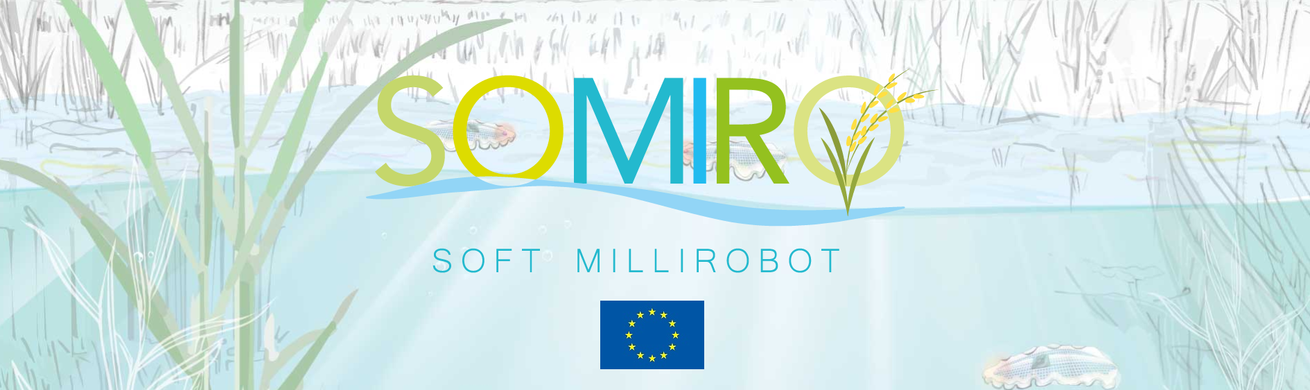 logo SOMIRO - SOft Milli RObot